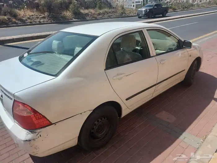 كورلا استندر 1