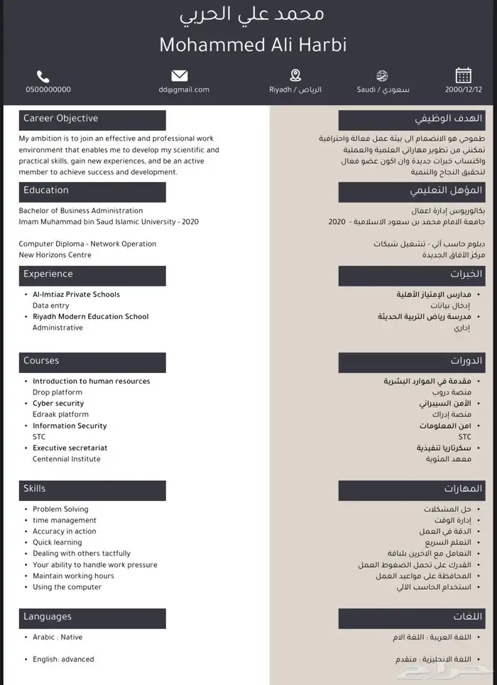 تصميم سيرة ذاتية احترافية CV 15