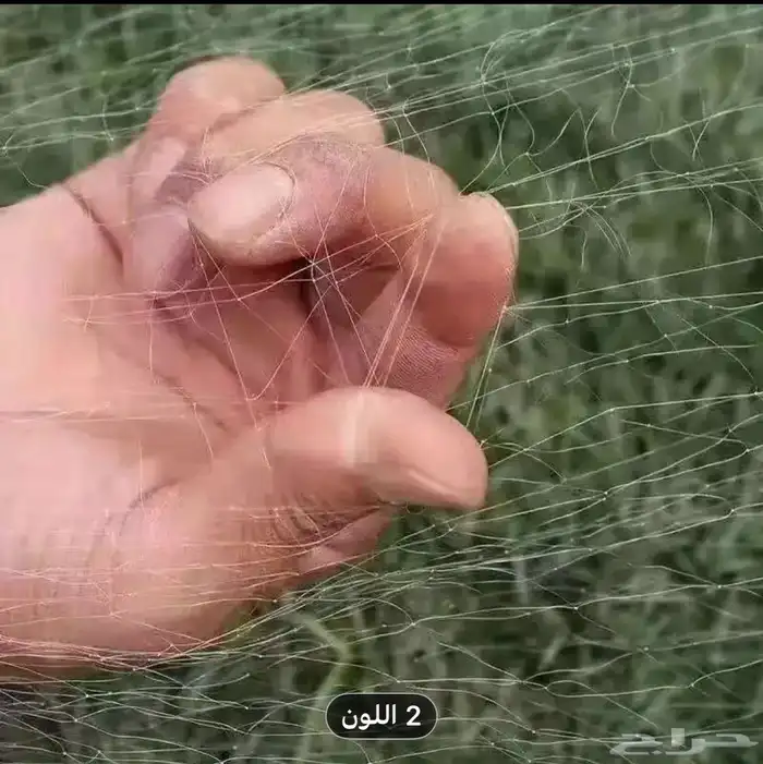 شبكة رقيقة لصيد الطيور والحمام 6