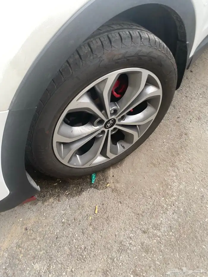 سنتافي 2016 19