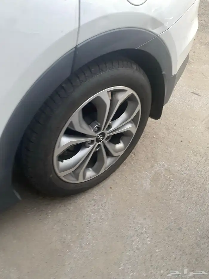سنتافي 2016 20