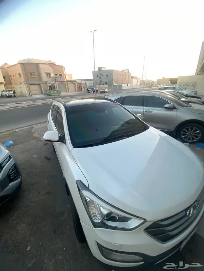 سنتافي 2016 8