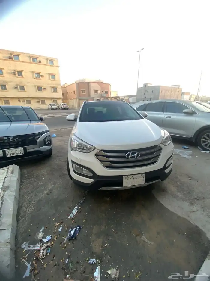 سنتافي 2016 5