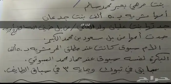 قعود هجن 4