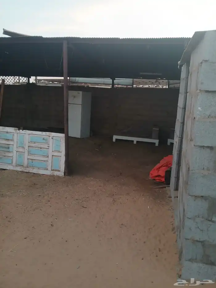 حوش غنم الاجار الصناعه أحواش الغنم 1