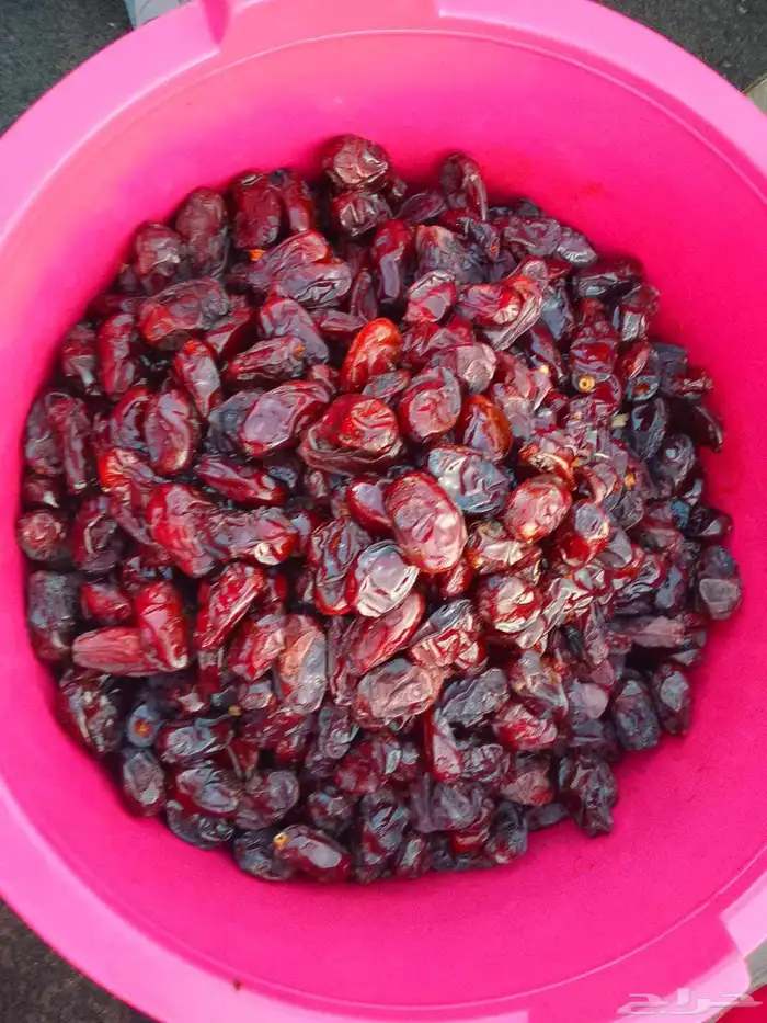 تمور حائل الفاخره 7