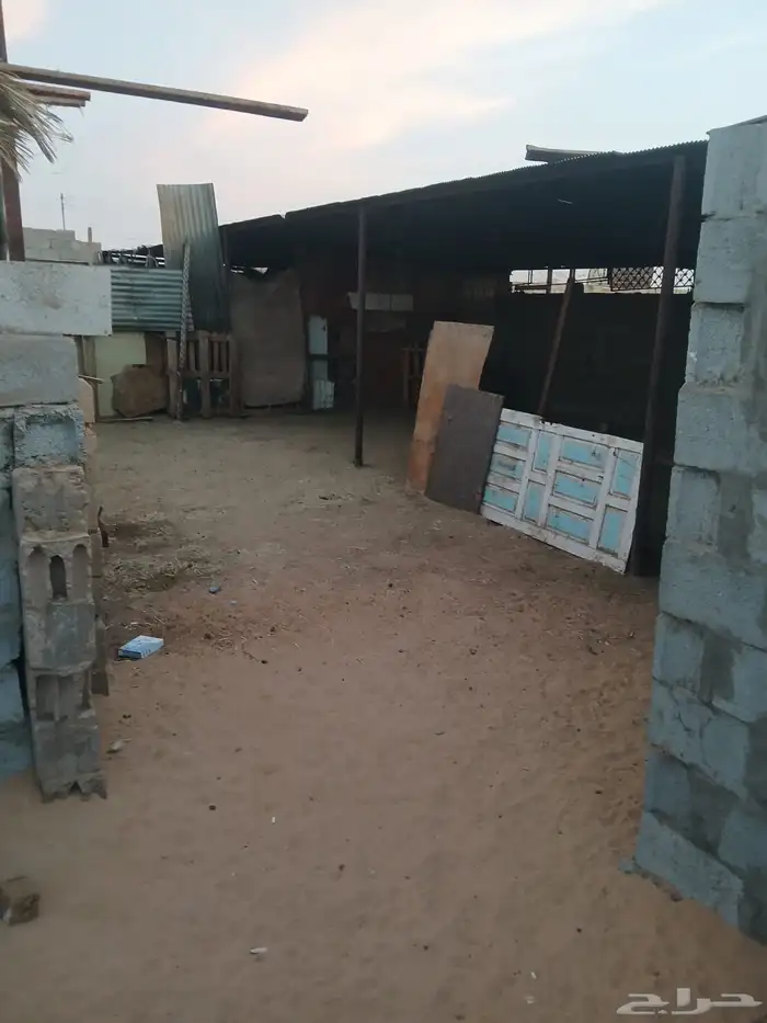 حوش غنم الاجار الصناعه أحواش الغنم 3