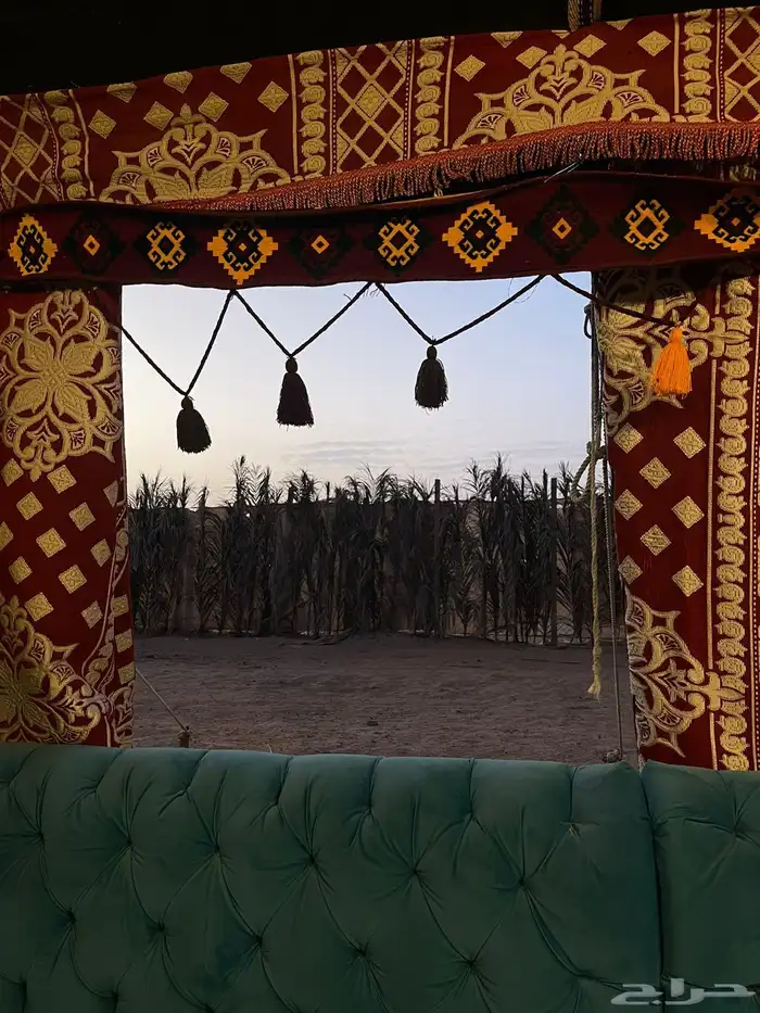 بيت شعر للبيع بأثاثه 3