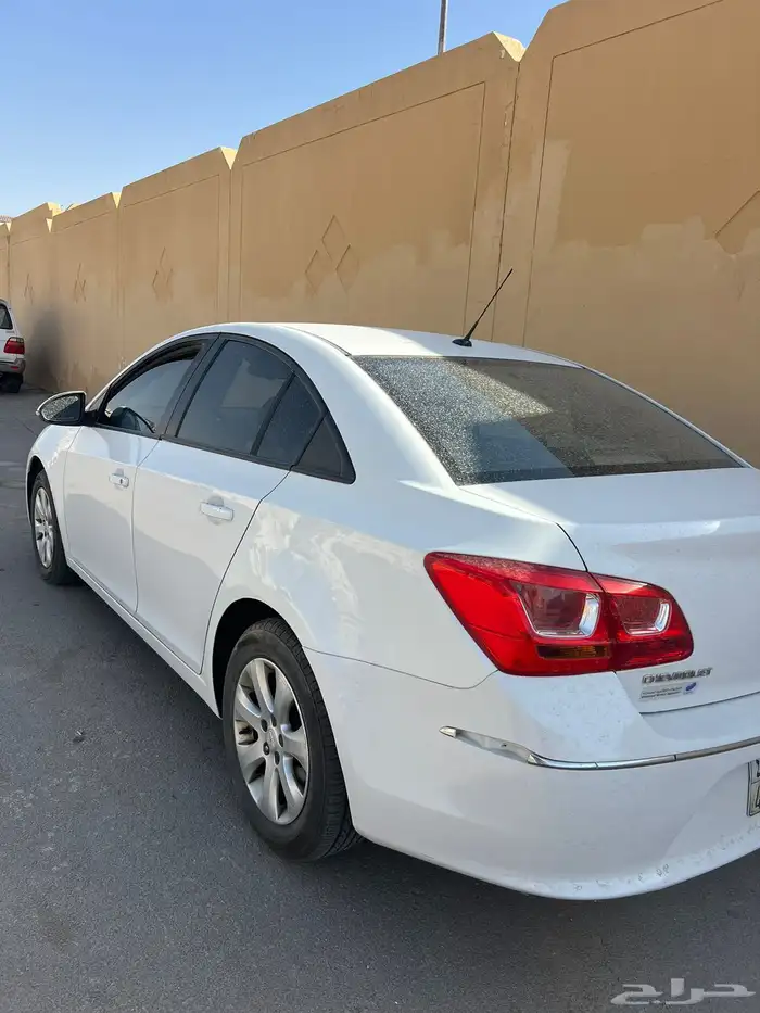 كروز 2017 1
