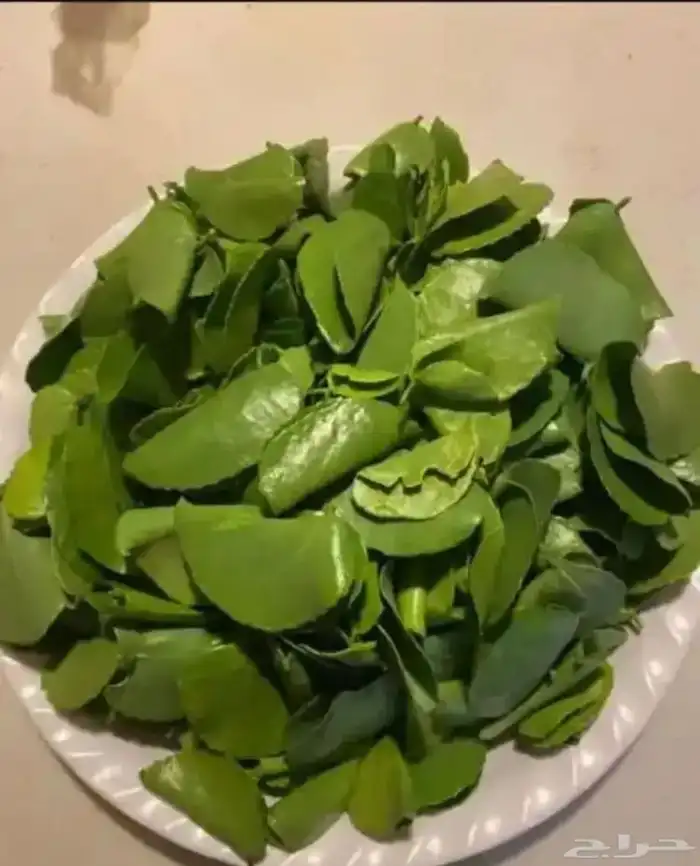 غلف 0