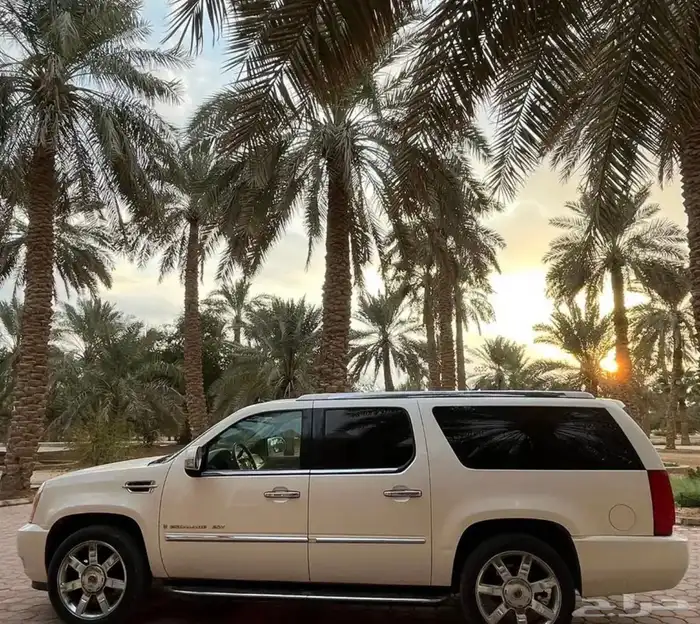 اسكاليد للبيع 2