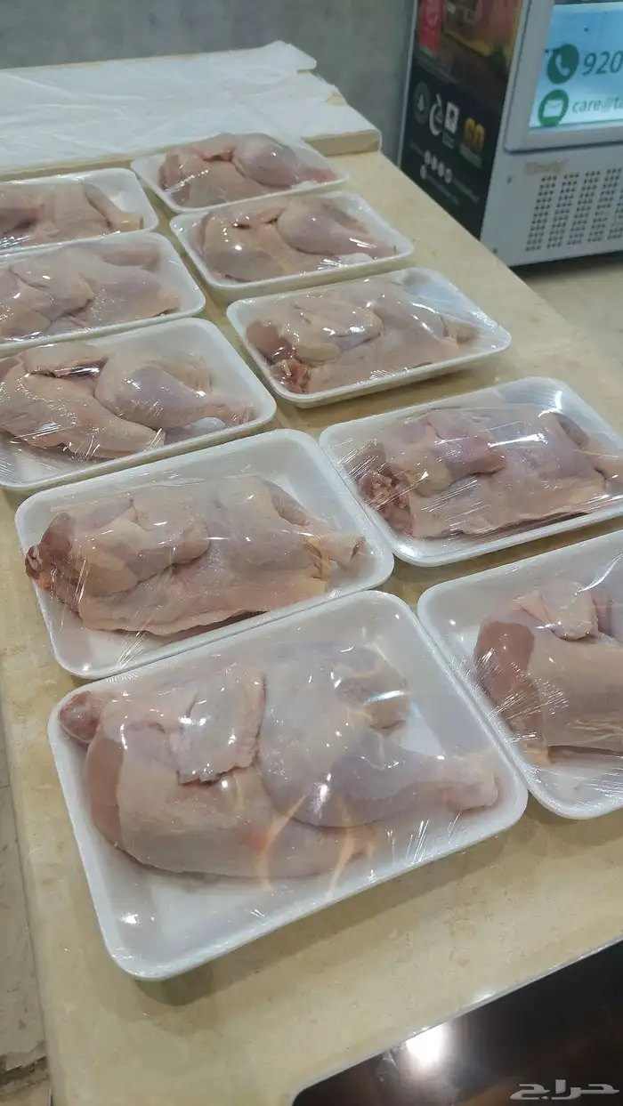 دجاج مبرد طازج يوميا 2