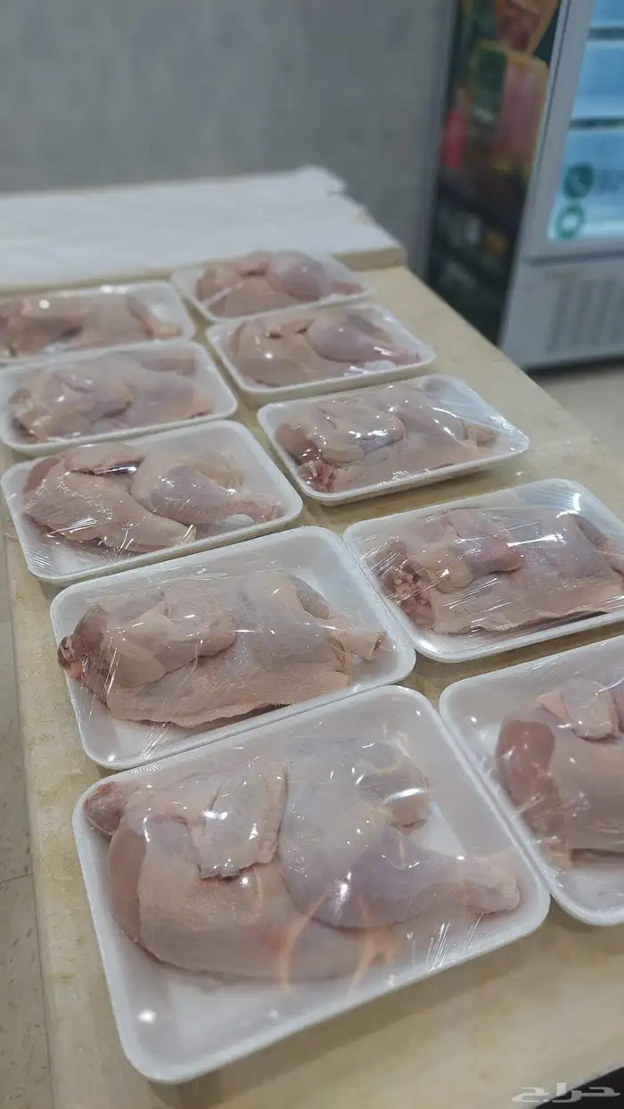 دجاج مبرد طازج يوميا 0