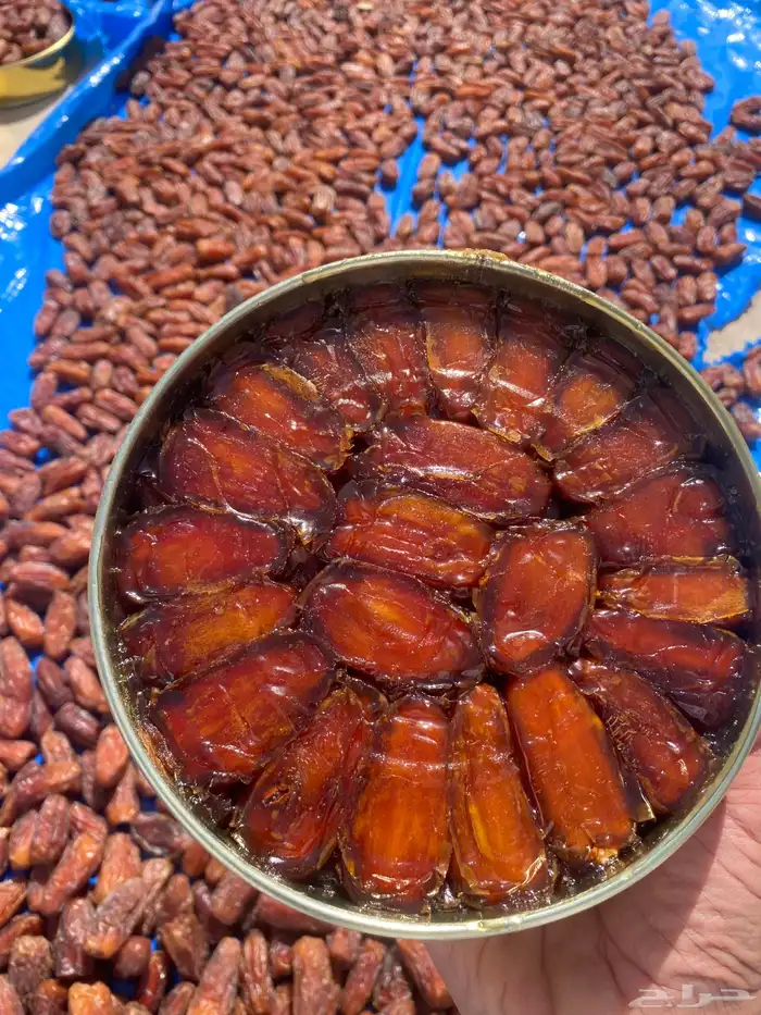 تمر صفري بيشة حشي جديد انتاج السنة هذي حبة كبير 1