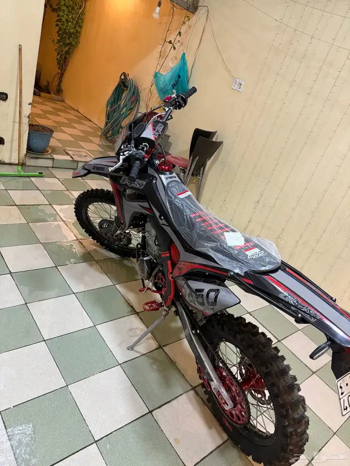 دباب صحراوي 0
