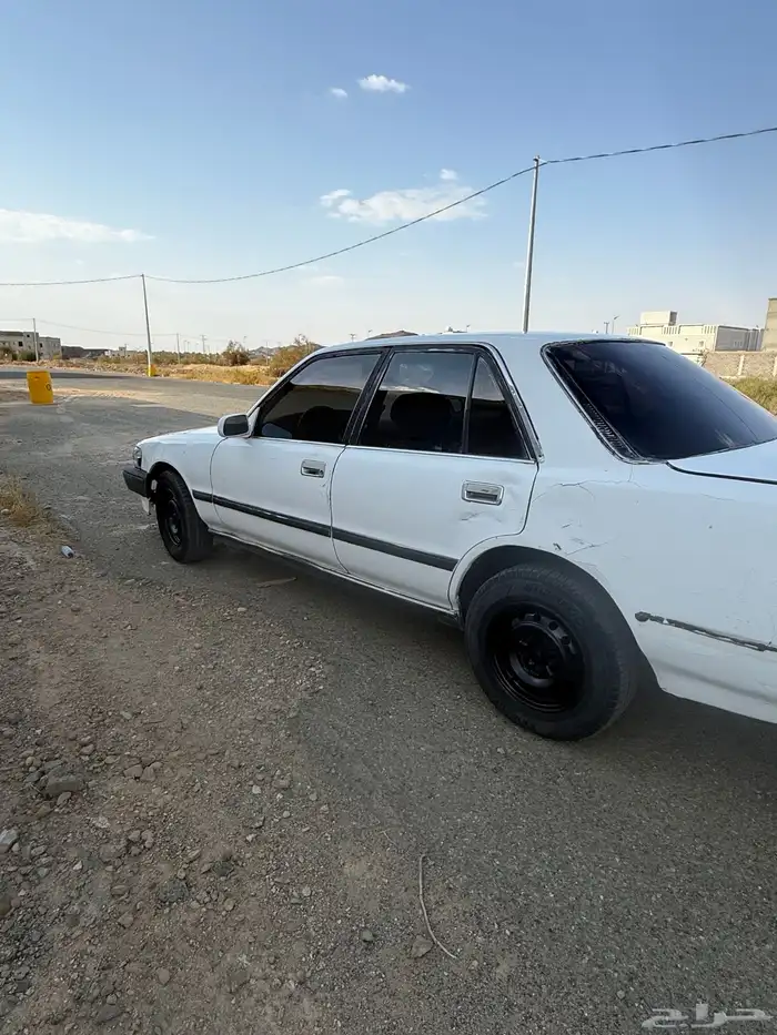 كراسيدا نضيفه ع الشرط اوراقها جديده 0