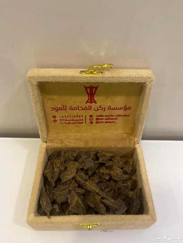 عود كلمنتان 0