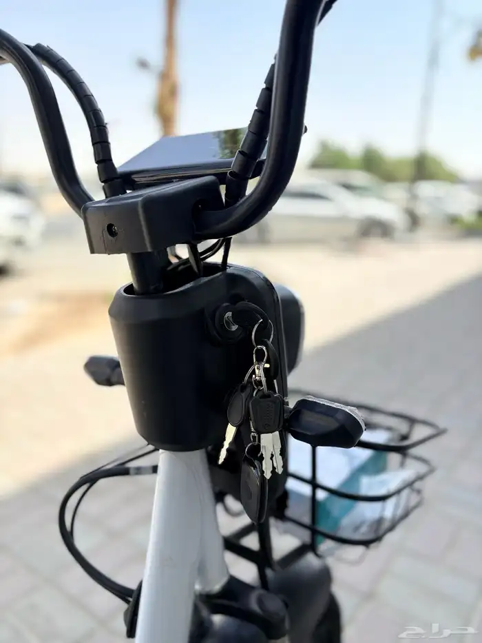 Roxer electric bike lowest price - available tabby 9