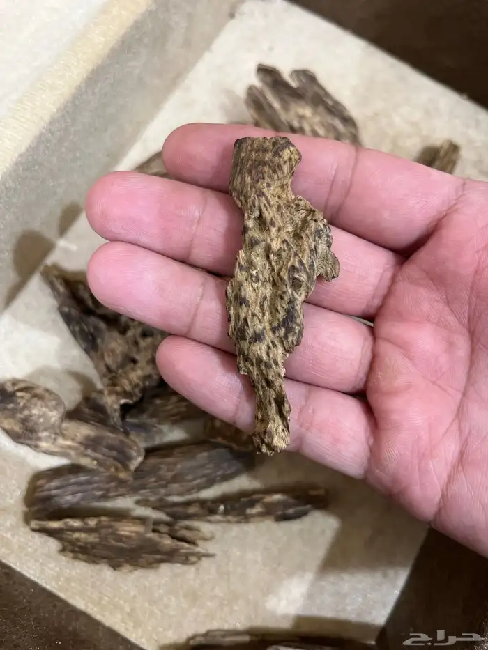 عود كلمنتان مالينو دبل سوبر ثقيل نقوة 2