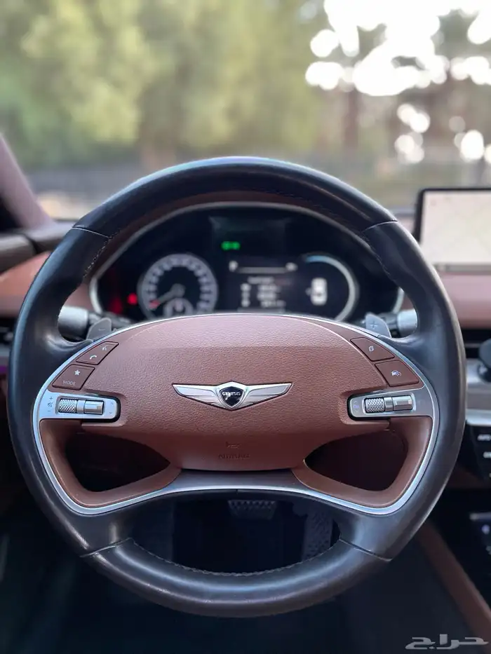 جنسسG80-2023(ممشي42الف)برستيج 29