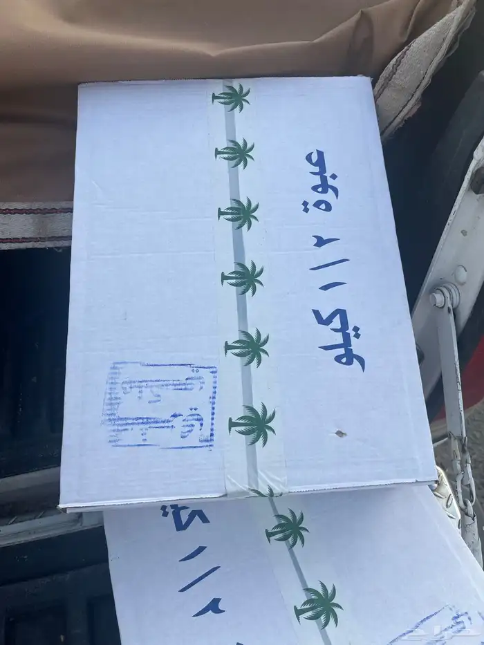 تمر صفري 1