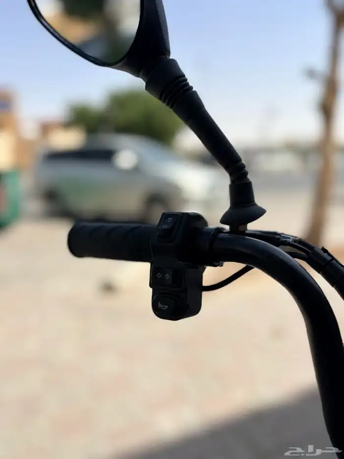 Roxer electric bike lowest price - available tabby 8