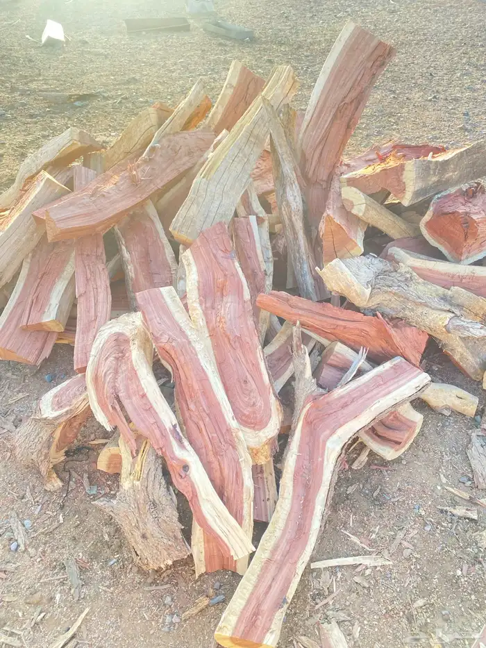 حطب مستورد 0
