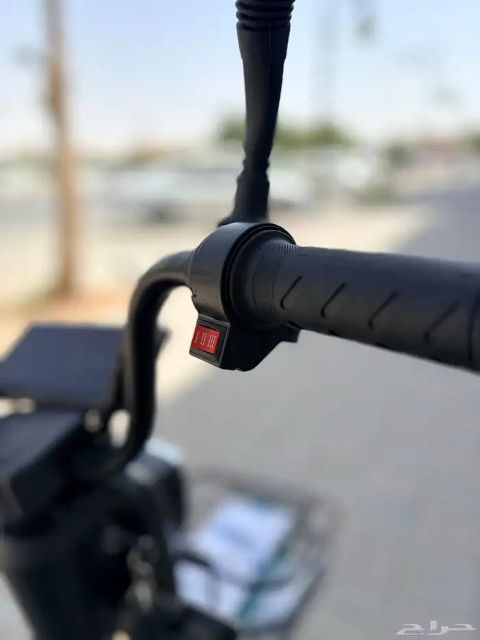 Roxer electric bike lowest price - available tabby 7