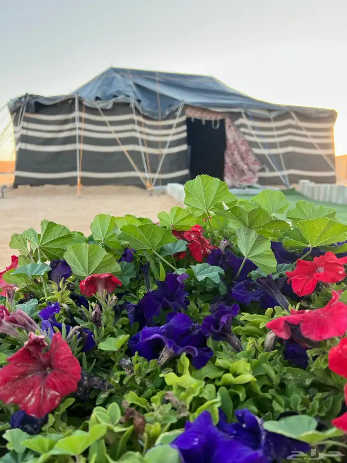 مخيم قسمين للبيع camping for Sale 6