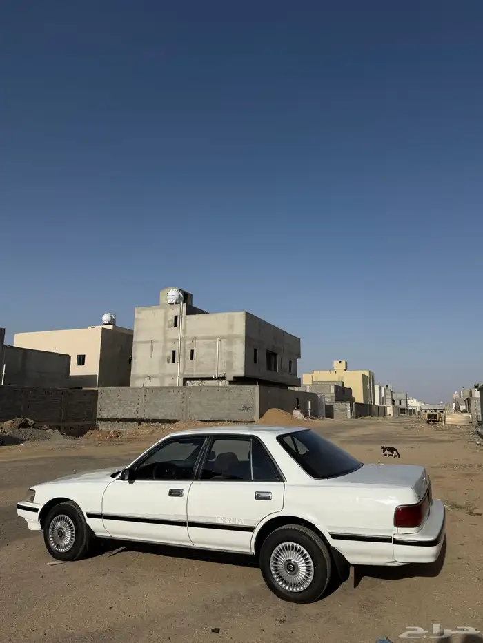 كرسيدا 2