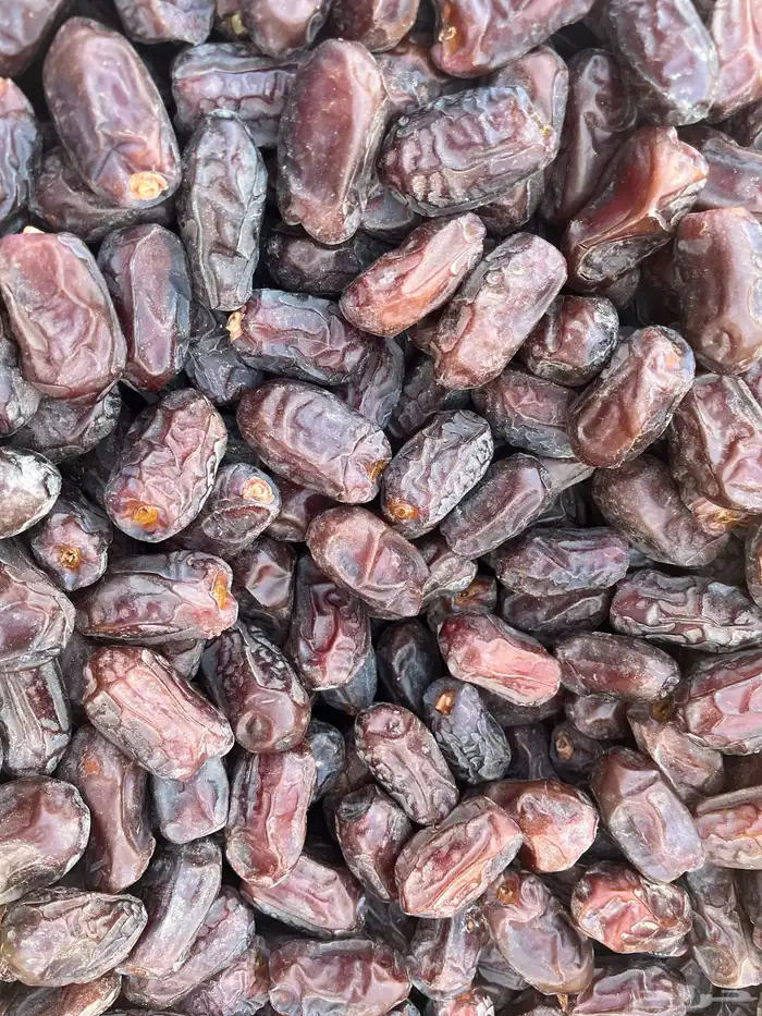 تمر خضري 0