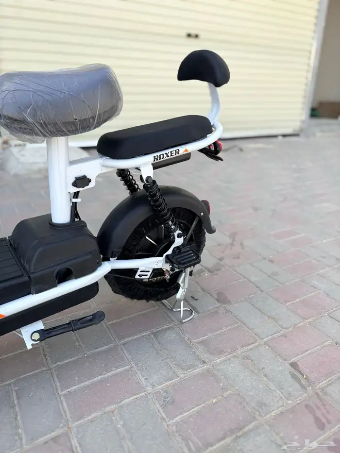 Roxer electric bike lowest price - available tabby 12