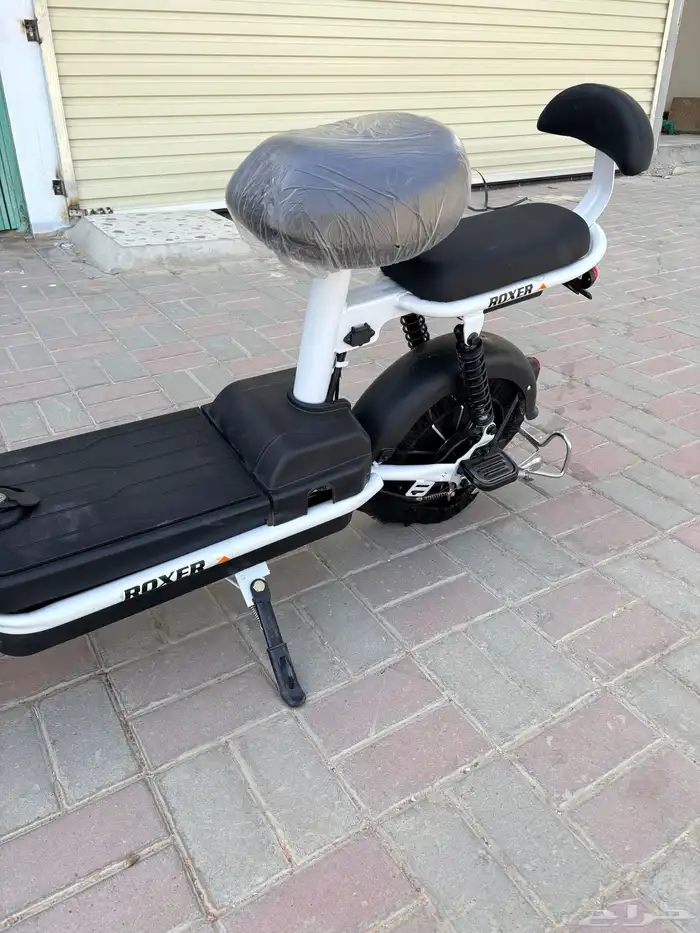 Roxer electric bike lowest price - available tabby 11