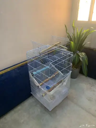 قفص مكاو كبير 0