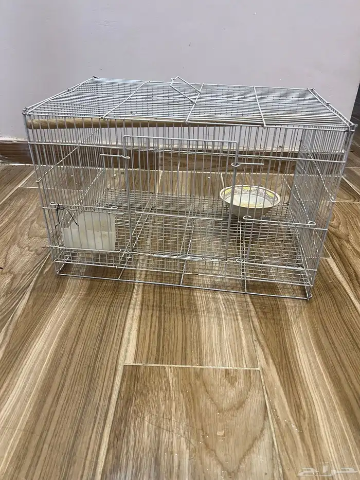 شبك عصافير 3