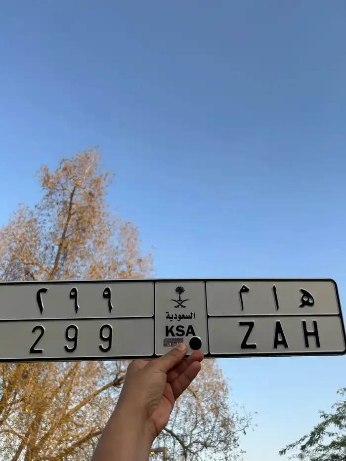 لوحة مميزه وفخمة 2