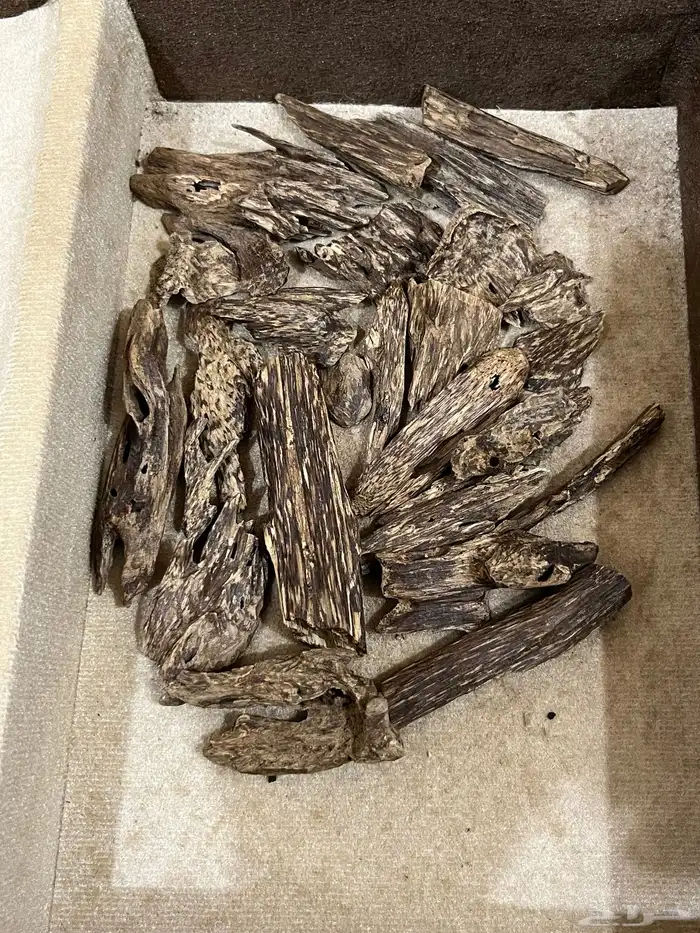 عود كلمنتان مالينو دبل سوبر ثقيل نقوة 8