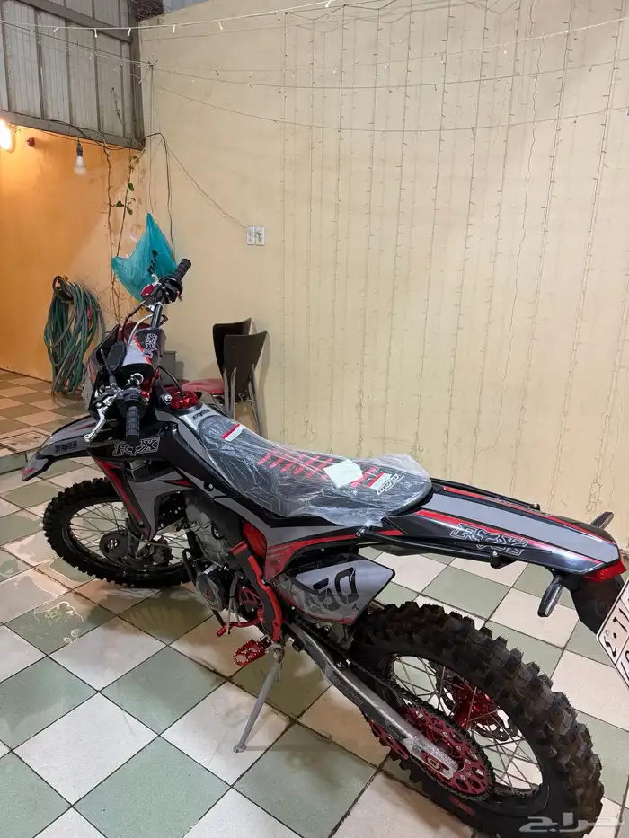 دباب صحراوي 1