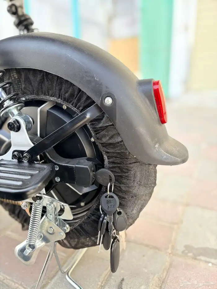 Roxer electric bike lowest price - available tabby 13