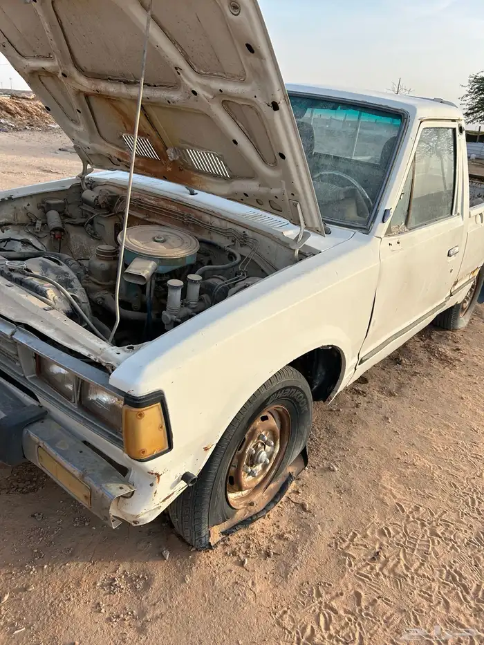للبيع دتسن 1980 3