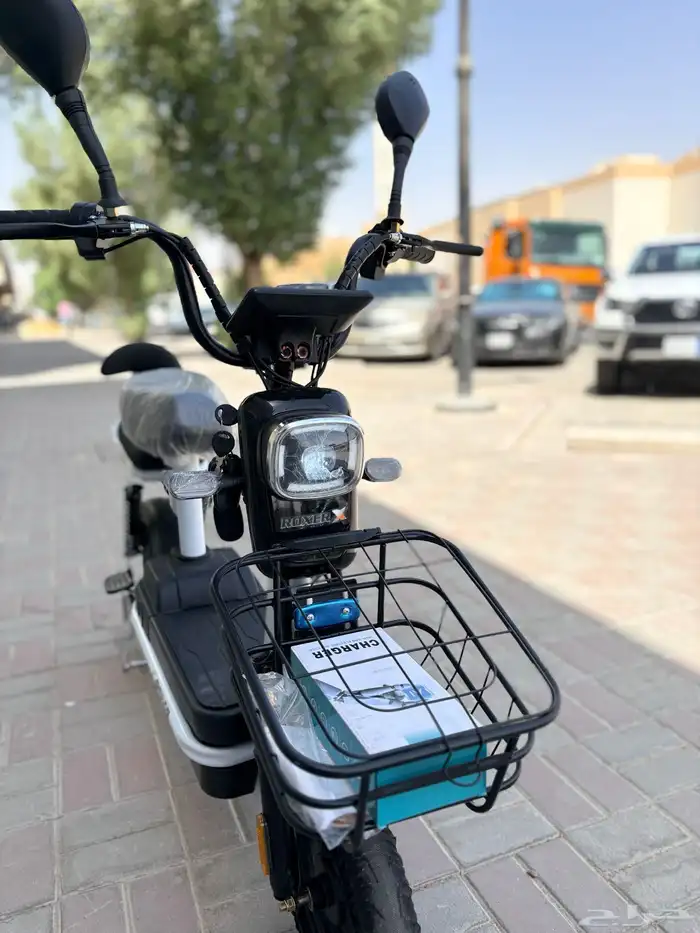 Roxer electric bike lowest price - available tabby 10