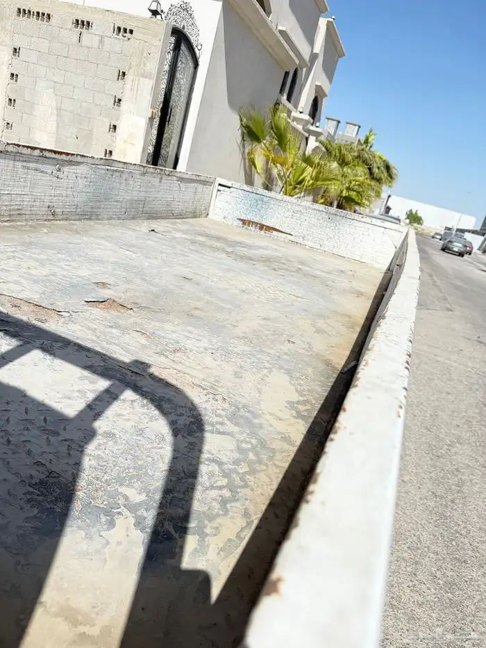 دينا JMC - 2008 8