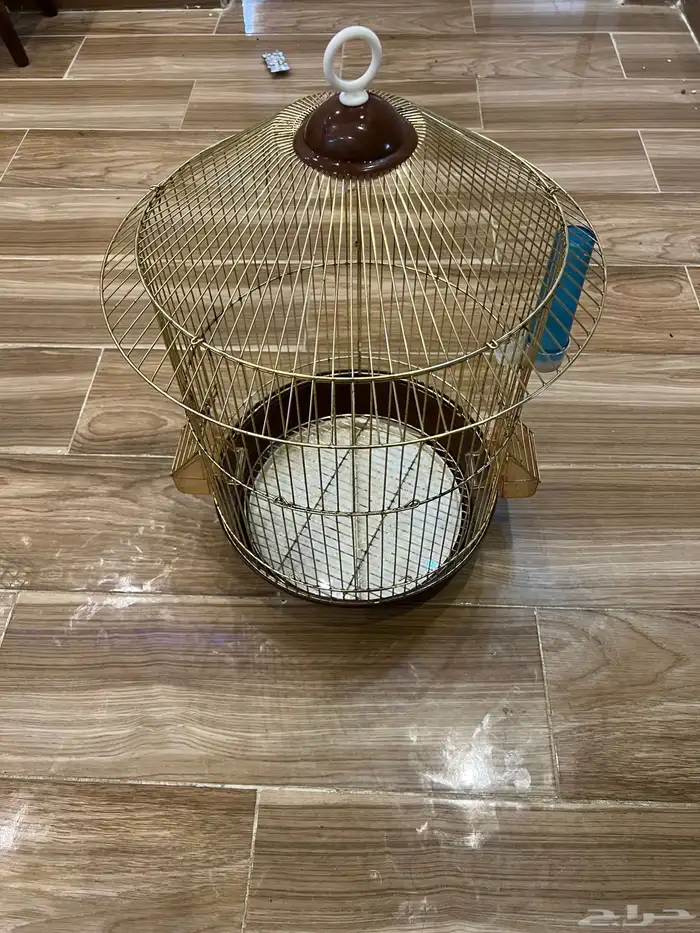 شبك عصافير 2