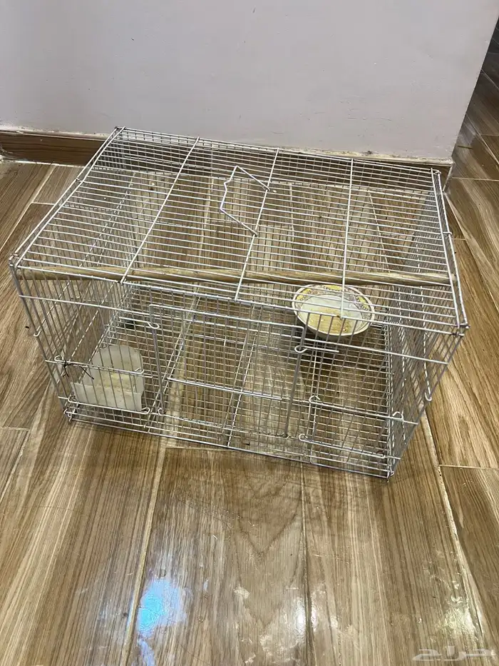 شبك عصافير 1