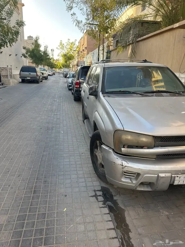 بليزر شفر ليه2008 0
