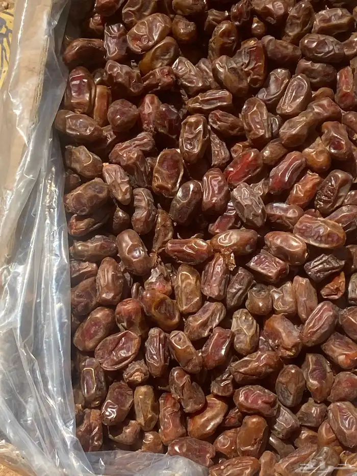 تمر سري انتاج هذا العام 1447 الافلاج 1