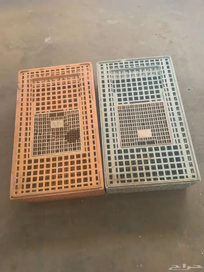 شبك اصفر 0