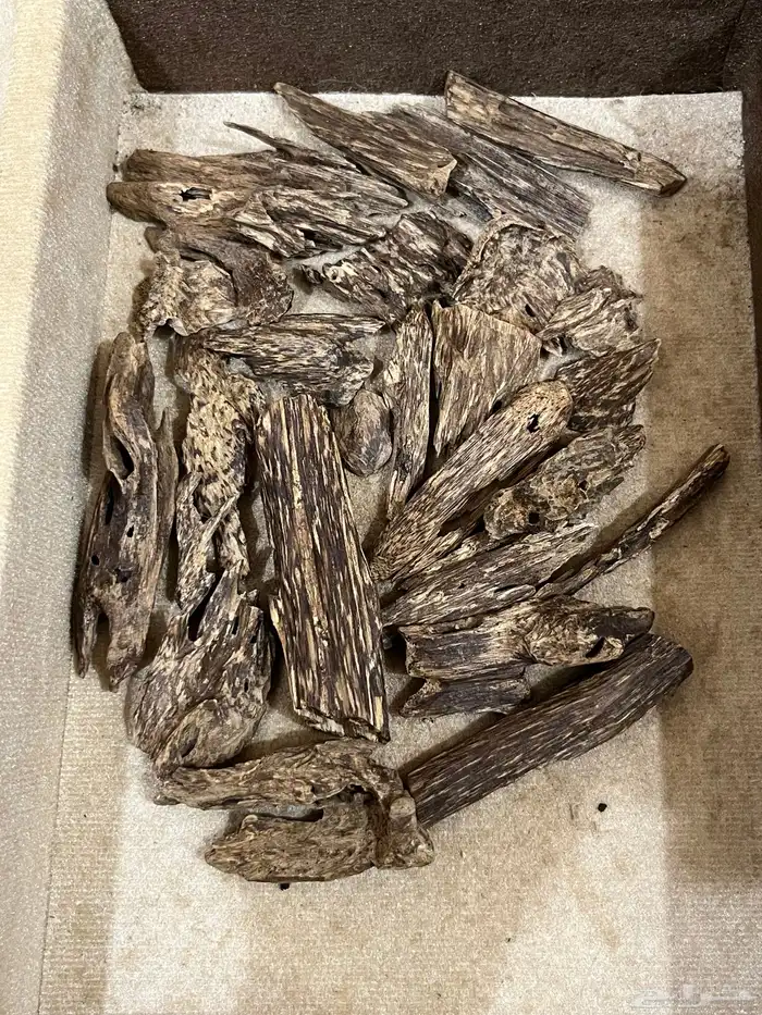 عود كلمنتان مالينو دبل سوبر ثقيل نقوة 9