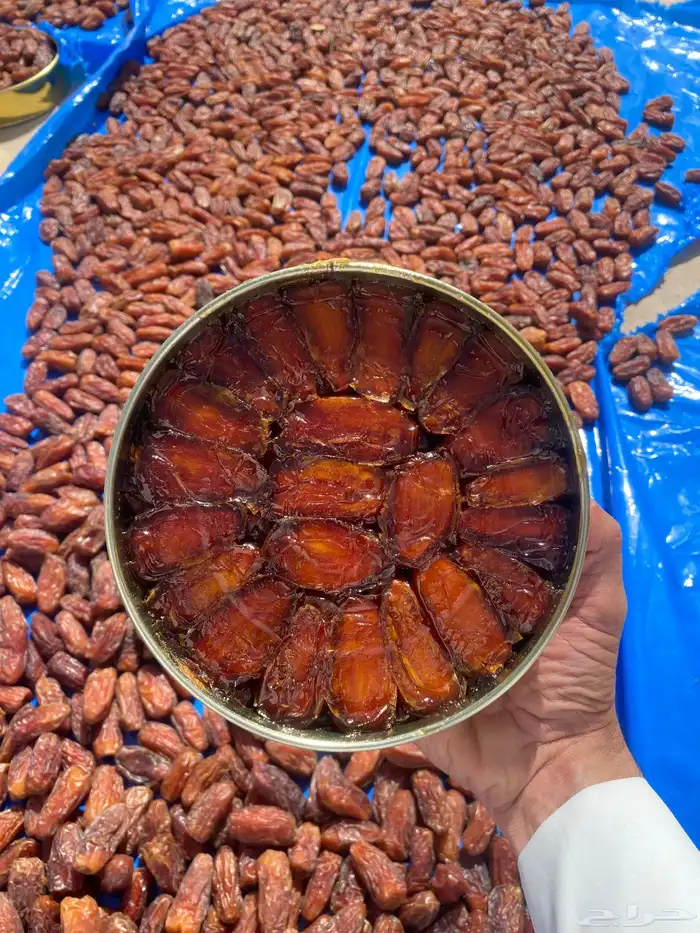 تمر صفري بيشة حشي جديد انتاج السنة هذي حبة كبير 2