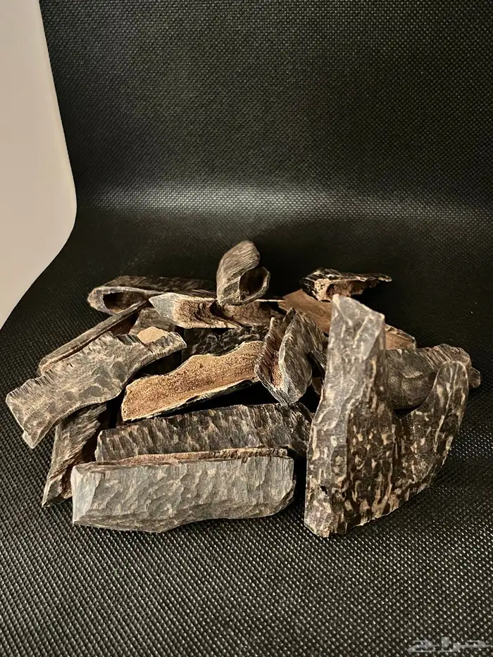 عروض اليوم الوطني 13